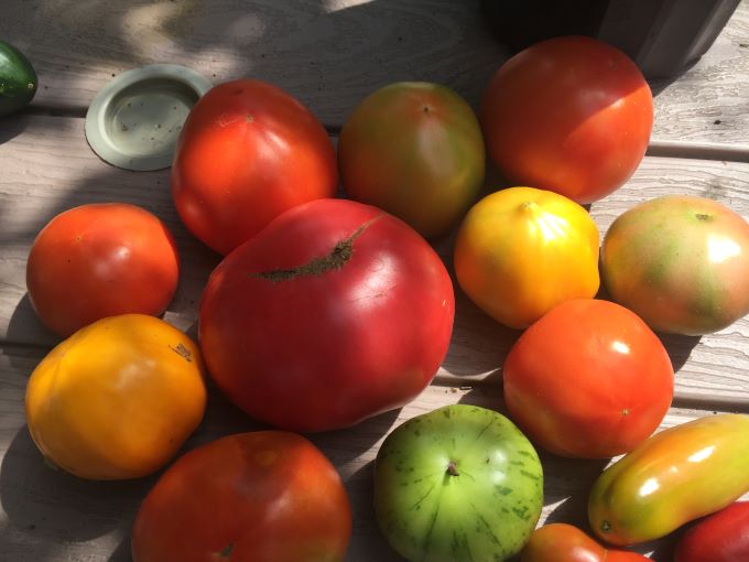 A variety of tomatoes and peppers on a wooden table.