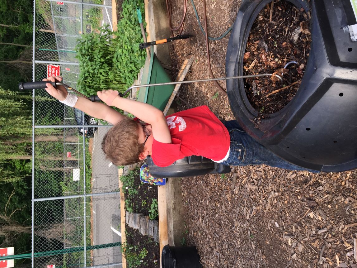 A child turning the compost bin looking for worms.
