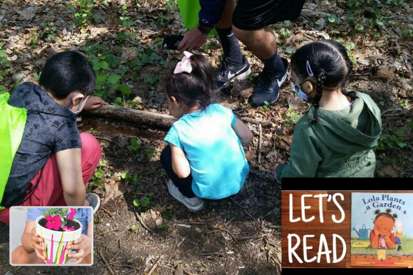 A group of children are reading a book in the woods.