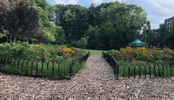 A path leading to a flower garden in a park.