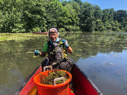 A man in a canoe with a basket full of moss.