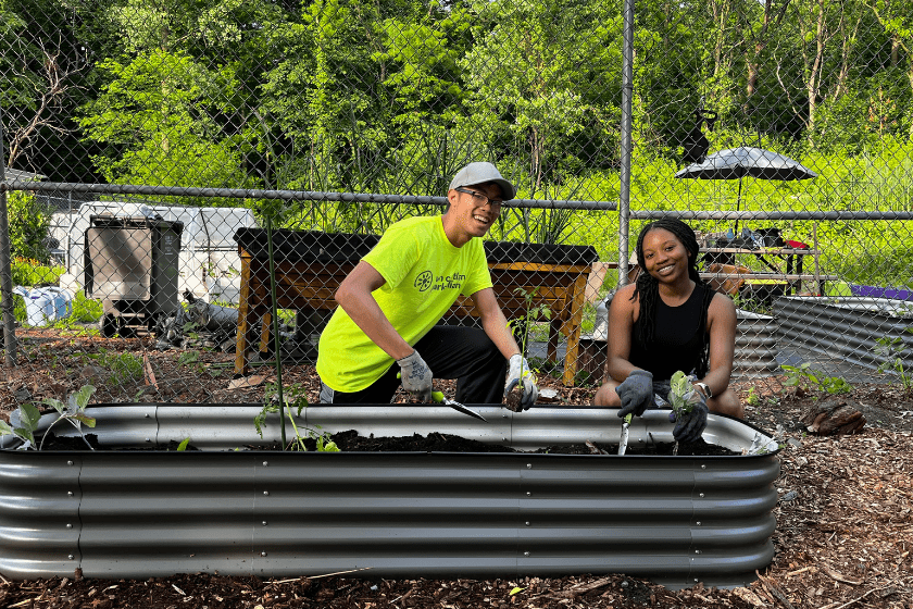 Two people working in a raised garden bed.