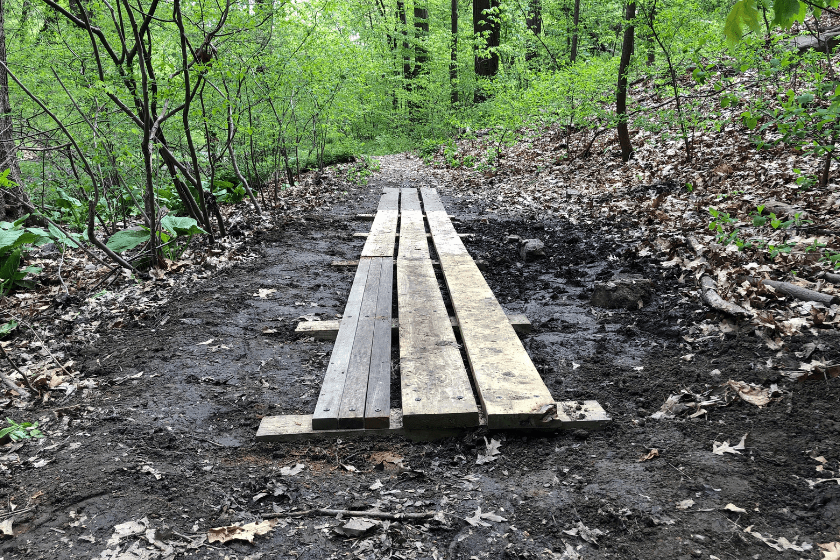 A wooden boardwalk in the woods.