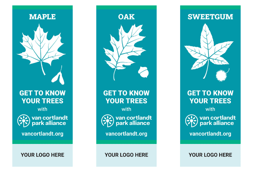 Four leaf banners with the words maple, sweet and get to know your trees.