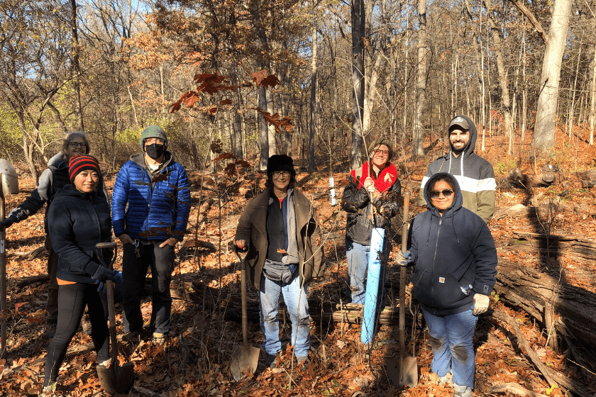 A group of people standing in a wooded area with shovels.