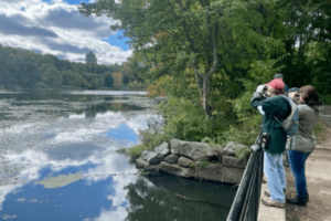 A group of people looking at a body of water.