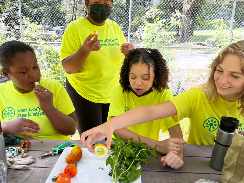 A group of girls are preparing vegetables on a table.