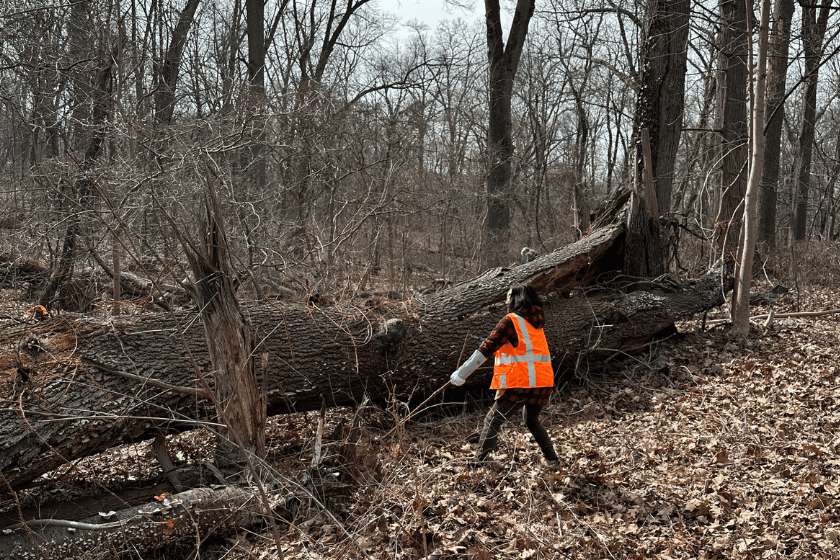 A person in an orange vest walking through a wooded area.