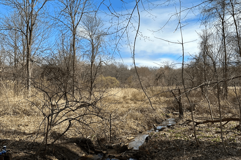 A stream in a dry field.