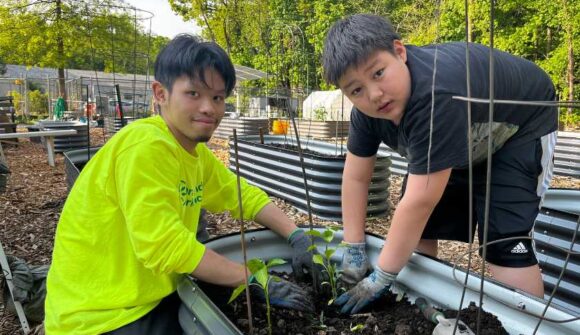 Two young men are planting plants in a garden.