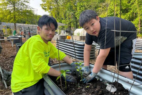 Two young men are planting plants in a garden.