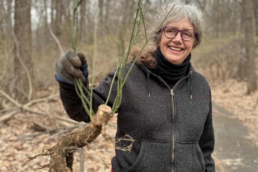 A woman holding a branch in the woods.