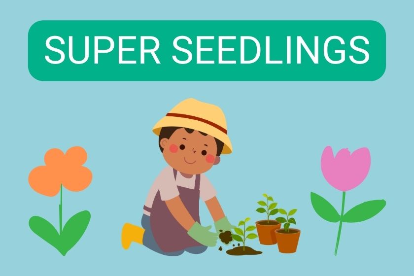 A drawing of a kid planting plants with an orange and pink flower with the title Super Seedlings.