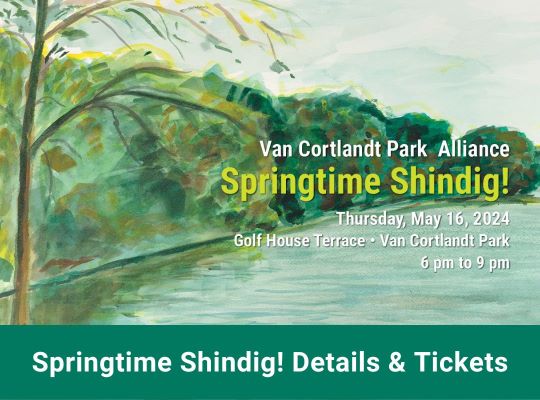 Painting of a pond with text over it for a Springtime Shindig benefit on May 16.
