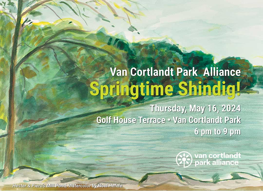 A painting of a pond with text in white and yellow with event details: Springtime Shindig on May 16