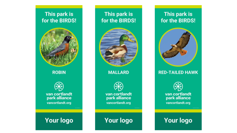 Three examples of street banners which all say This Park is for the Birds! with images of a robin, mallard or red-tailed hawk.