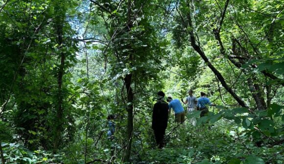 A group of people working in the forest surrounded by trees and plants