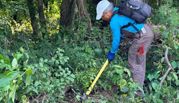 A man in a long blue sleeve shirt with a backpack using a tool to clear plants from the forest floor.