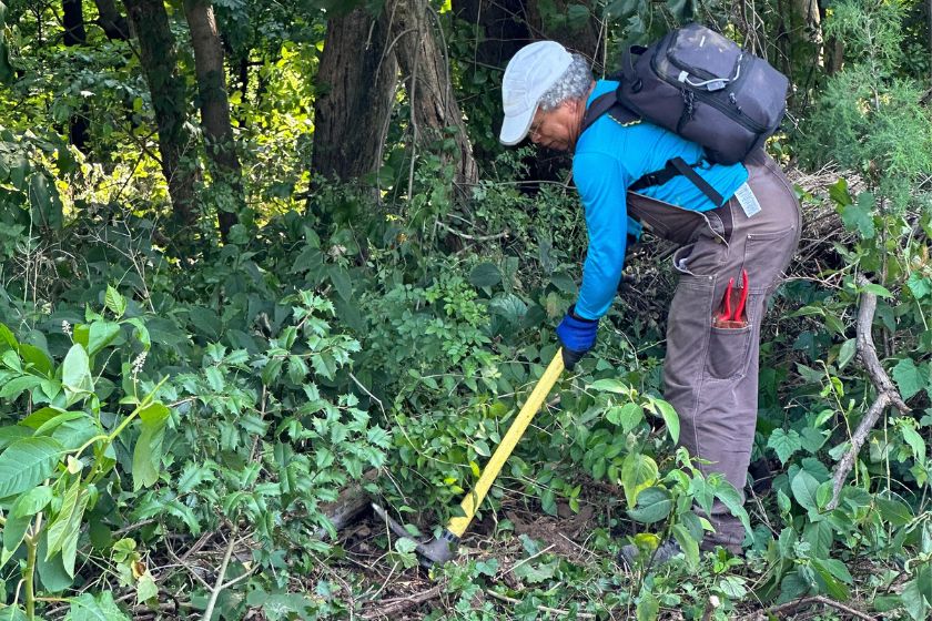 A man in a long blue sleeve shirt with a backpack using a tool to clear plants from the forest floor.