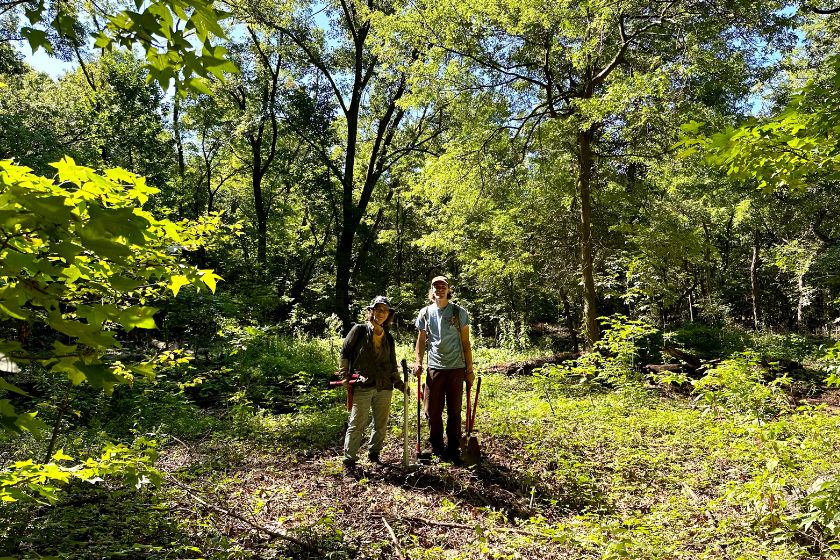 A man and a woman standing in the woods.