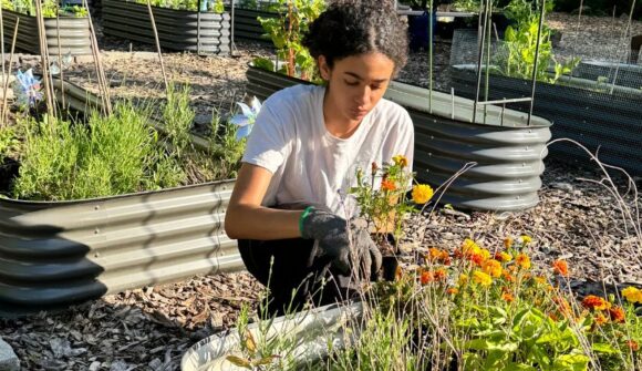 A young women caring for flowers in a garden bed.
