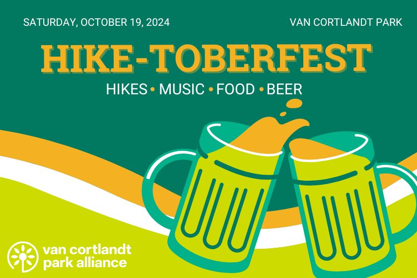 An image with a dark green background with waves of light green, white and orange with two beer mugs clinking together and text about Hike-toberfest on October 19, 2024 in Van Cortlandt park