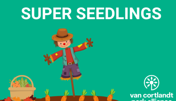 A cute drawing of a scarecrow with the title Super Seedlings.