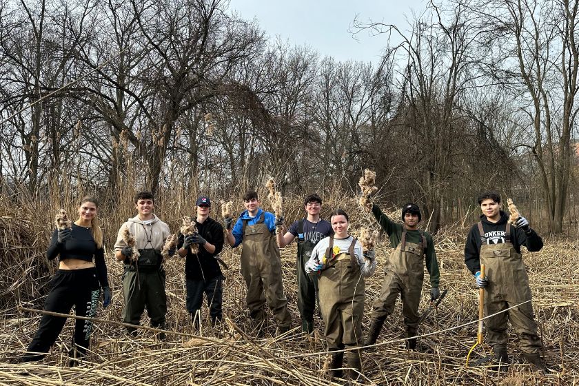 People in waders in a wetland