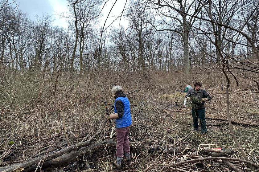 A woman in a blue vest and man in all black working out in a forest in the winter.