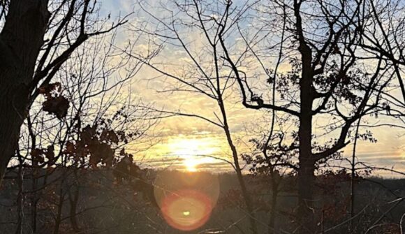 A picture of the sun rising through trees on an overlook.