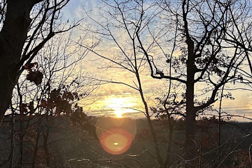 A picture of the sun rising through trees on an overlook.