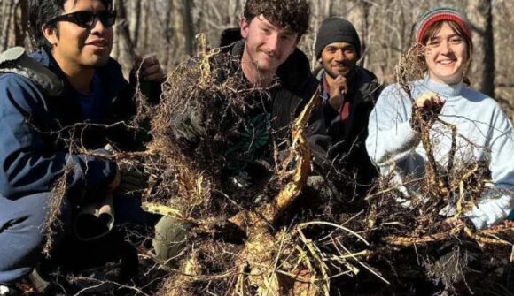 4 people smiling and posing with a large root they pulled out of the ground.