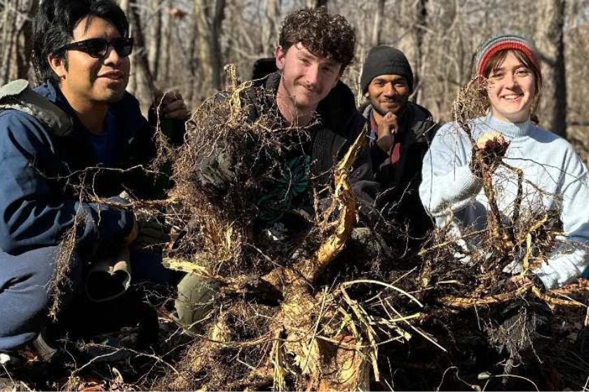 4 people smiling and posing with a large root they pulled out of the ground.