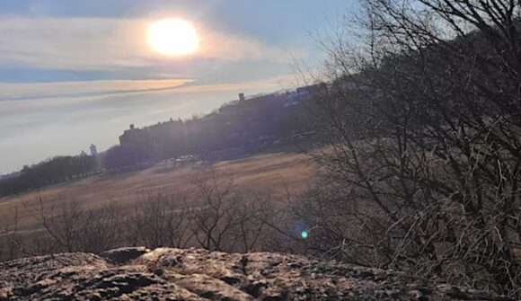 A photo of the sun setting over tree tops with rocks on the ground.