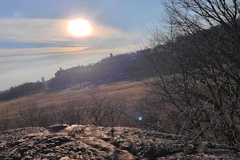 A photo of the sun setting over tree tops with rocks on the ground.