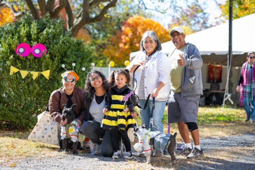 A little girl in a bee costume with two women kneeling next to her with glasses and antenna with a dog in costume and two people standing next to them.