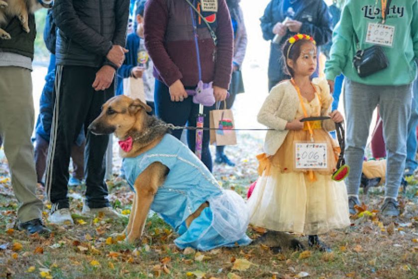 A young girl holding a leash with a dog both of them dresses in costumes as princesses.