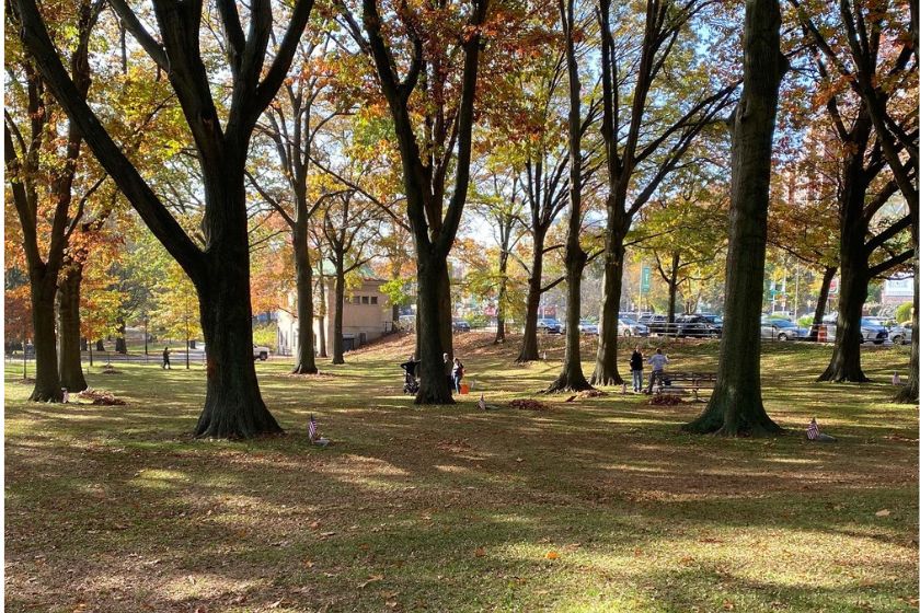 A photo of an area with trees in the fall and American flags next to plagues with benches