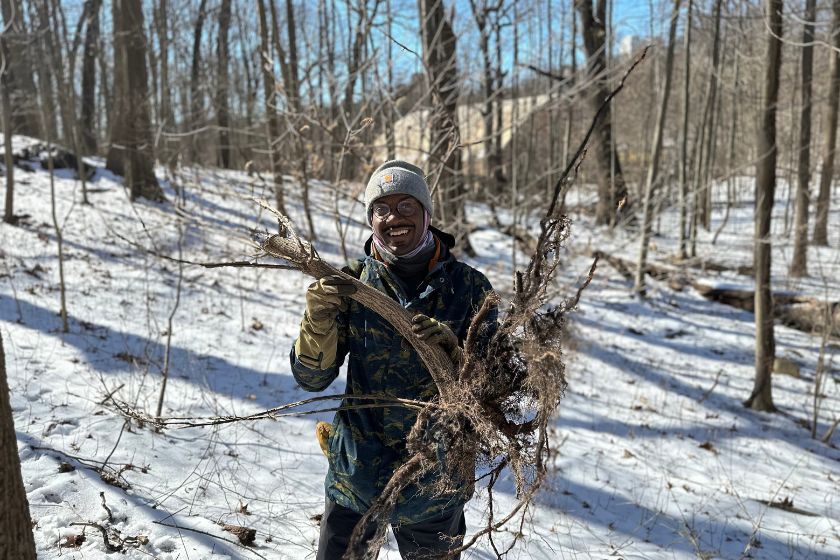 A man wearing a winter jacket and hat holding a large root from a shrub in the woods with snow.