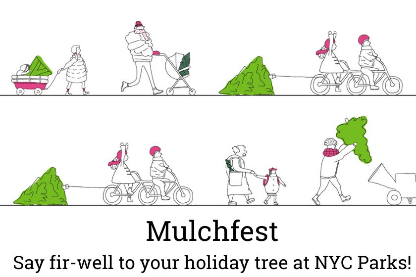 Cartoon graphics of people bringing trees to a woodchipper with words about Mulchfest