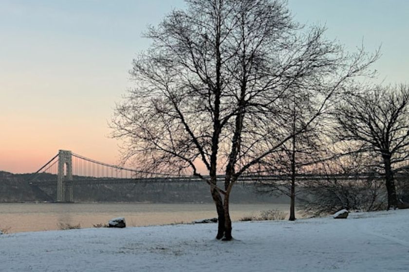 Bare trees in winter with snow on the ground next to water with a bridge during sunset.