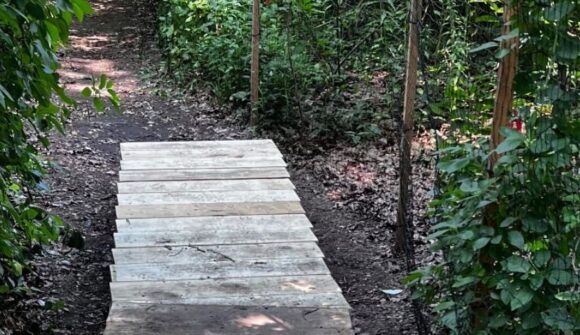 A wooden boardwalk on a trail in the woods of Van Cortlandt Park