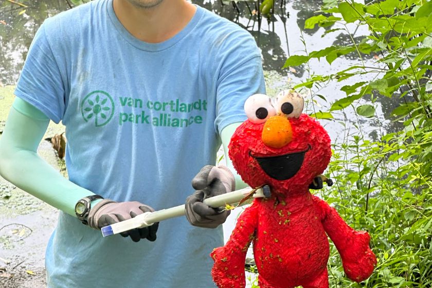 A person in a blue VCPA shirt holding a garbage grabber with an elmo doll