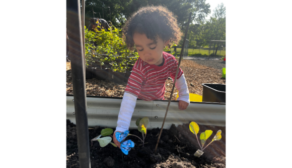 A young child wearing blue gloves and digging in a raised garden bed.
