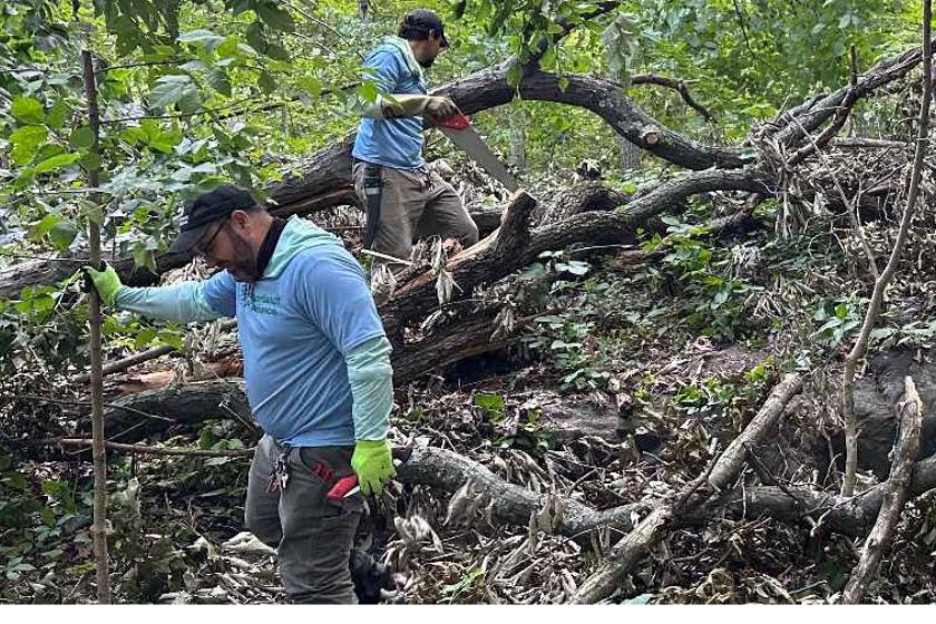 Two men in black hats and blue shirts working in the woods with saws.