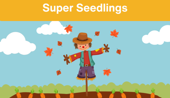 A cute graphic of a scare crow with leaves blowing around and a blue sky with white clouds.